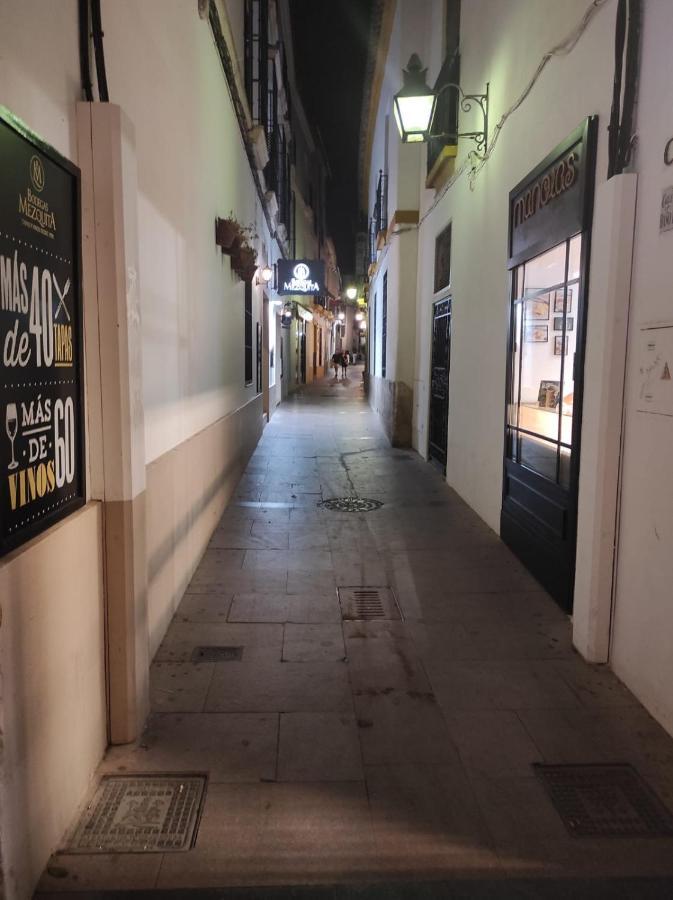 Apartmán Al-Andalus Agradable Casa Para Relajarse Y Descubrir Córdoba Exteriér fotografie